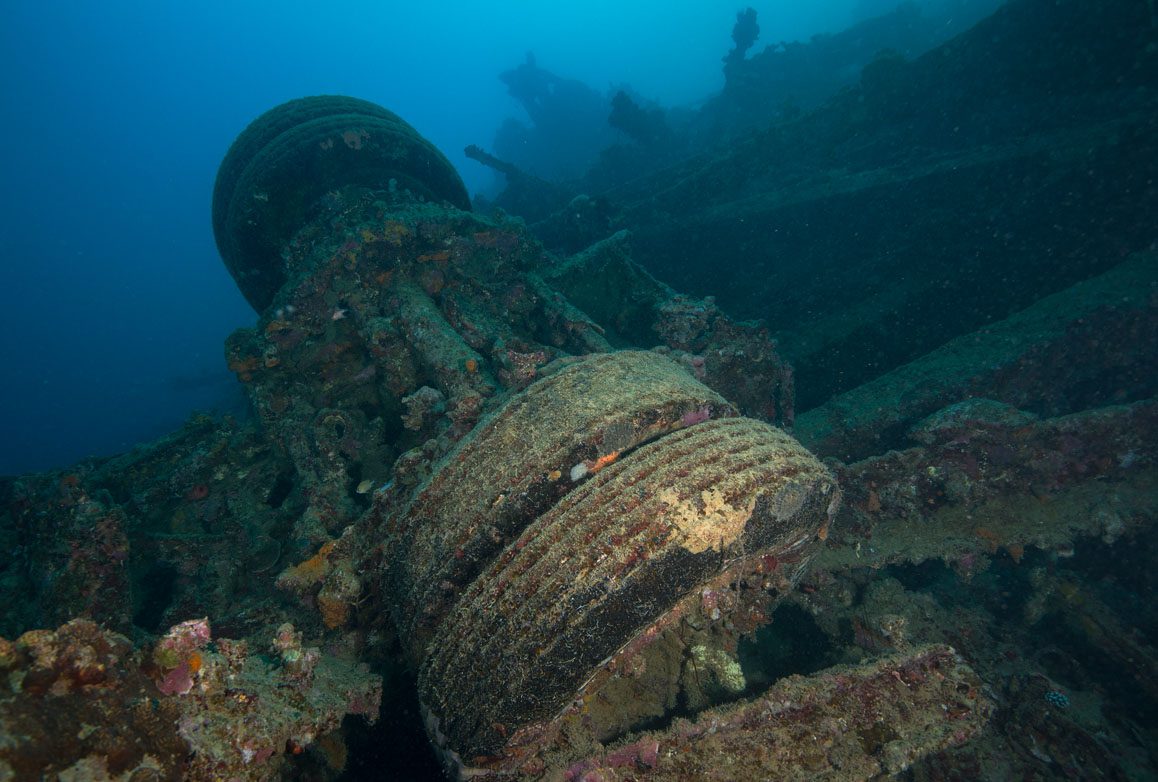 Diveplanit diving Vanuatu Santo Pacific Dive Million Dollar Point_JJ38704