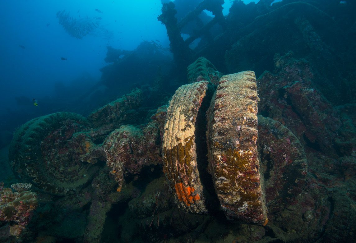 Diveplanit diving Vanuatu Santo Pacific Dive Million Dollar Point_JJ38772