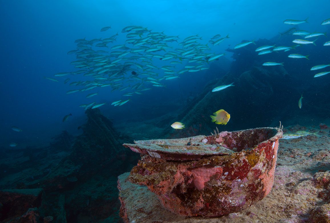 Diveplanit diving Vanuatu Santo Pacific Dive Million Dollar Point_JJ38788