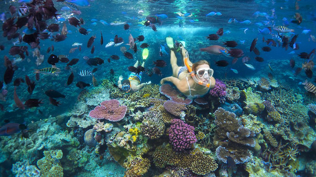 Efate Snorkelling Reef