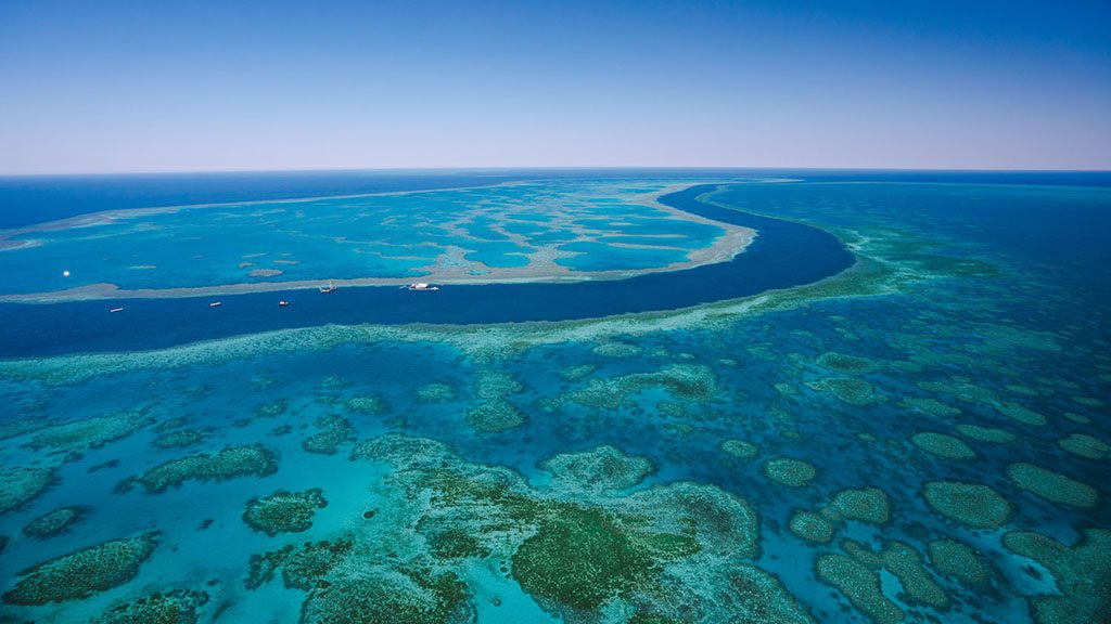 1 great barrier reef diving hardy reef