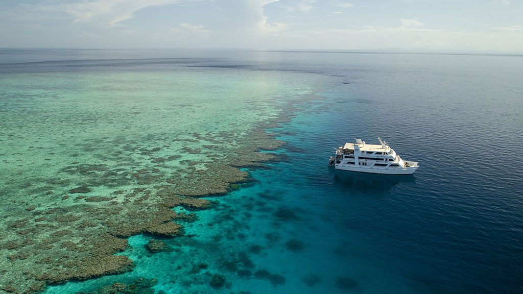 1 great barrier reef diving ocean quest