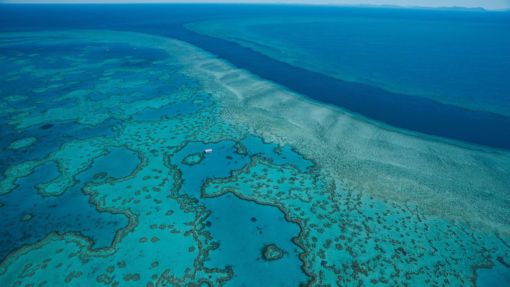 1 great barrier reef diving whitsundays reef