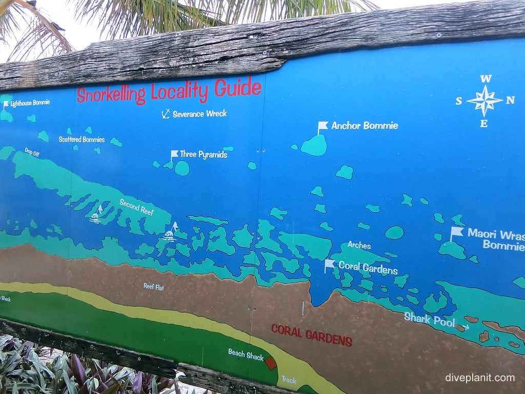 Dive Lady Elliot Island Eco Resort | Lady Elliot Island Diving Special Snorkelling locality guide