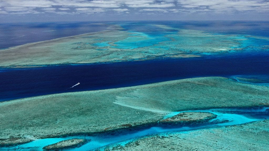 Great barrier reef