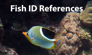 Fish id references
