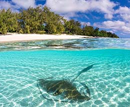 diving tours australia Heron island resort