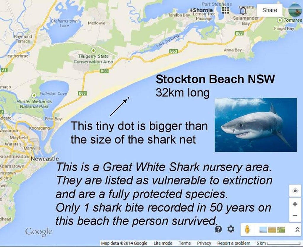 shark net size illustration #noNSWsharkcull