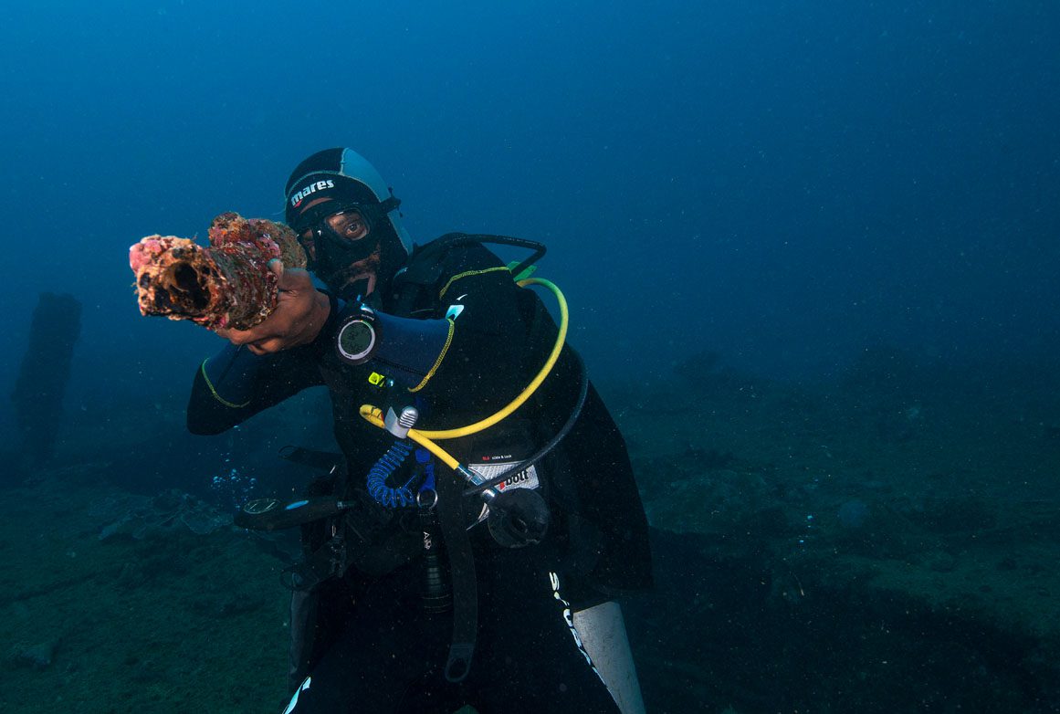 Vanuatu Santo Allan Power SS Coolidge diver with gun overtaken by coral