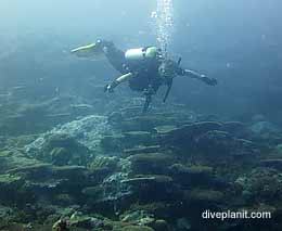 Drift diving ulong channel palau feature