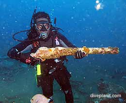 Ss president coolidge diving espiritu santo vanuatu feature