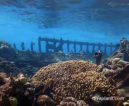 Composite wreck diving cocos keeling island feature