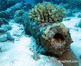 Cannons diving cocos keeling island feature