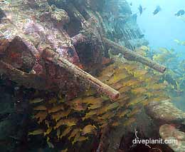 B american bomber diving honiara solomon islands feature