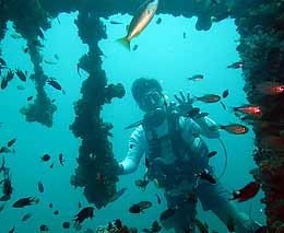 Our dive guide beam through the wreck at king cruiser wreck diving andaman sea feature