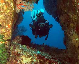 Diver approaches through the boulders at ko tachai pinnacles diving the similans feature