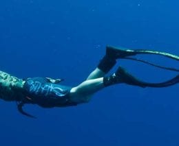 Spearfishing banner