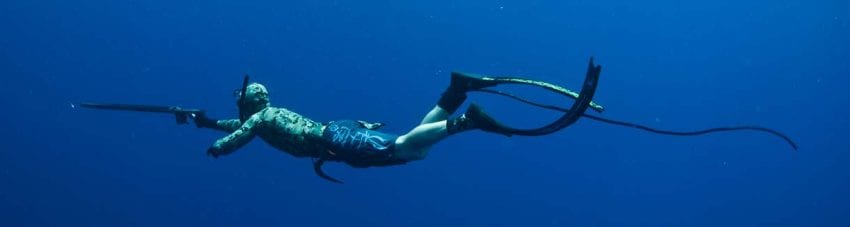 Spearfishing, are you for or against?