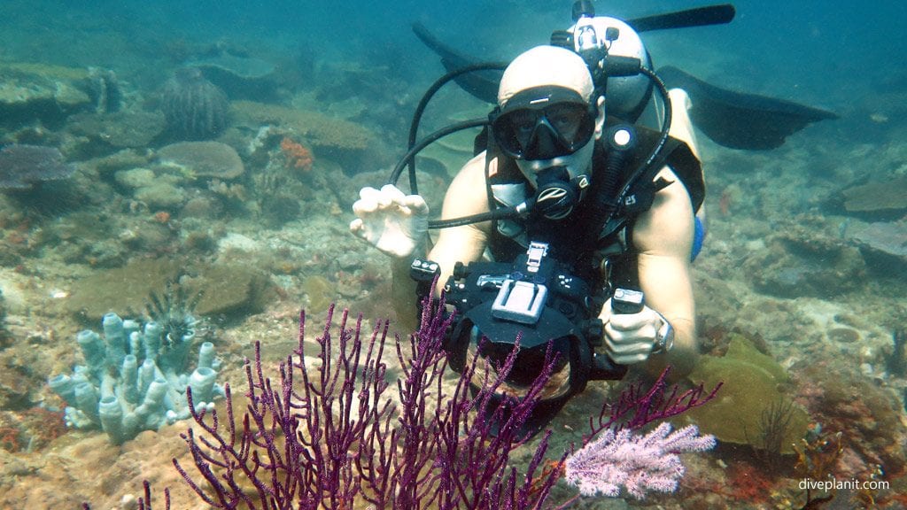 Richard demonstrates the easy art of modeling diving with dive downbelow