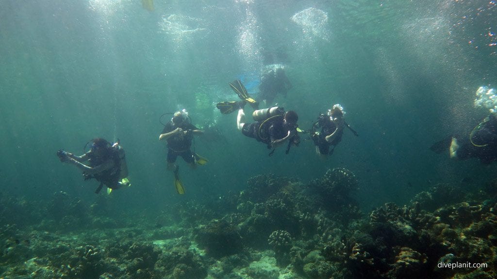 A plunge of divers at turtle patch diving sipadan malaysia