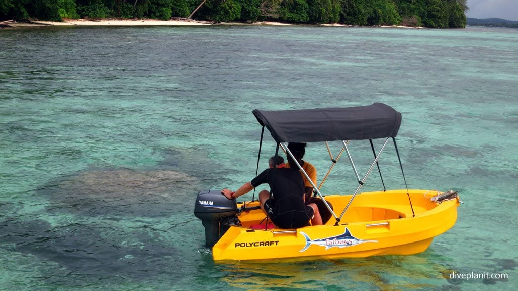A private boat for max at snorkelling fatboys resort gizo diving solomon islands