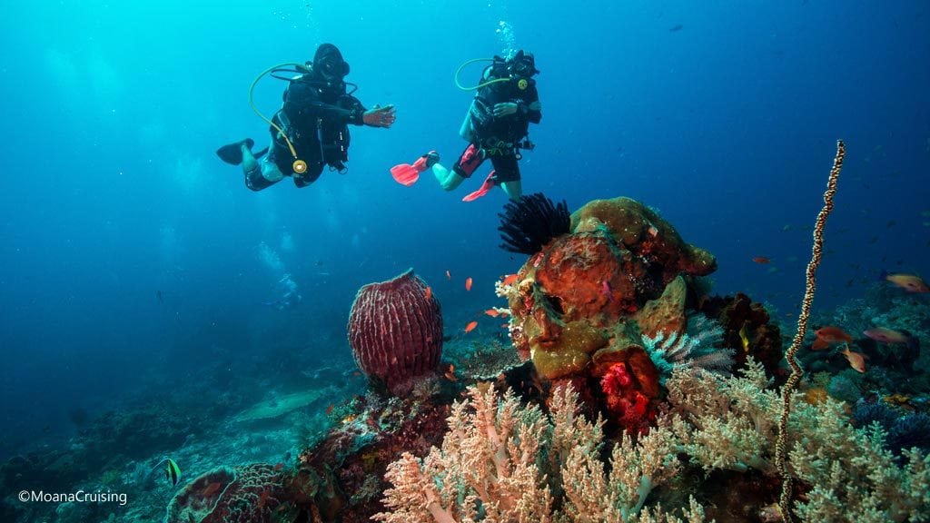 Two divers above the coral and sponges at crystal rock diving komodo moana
