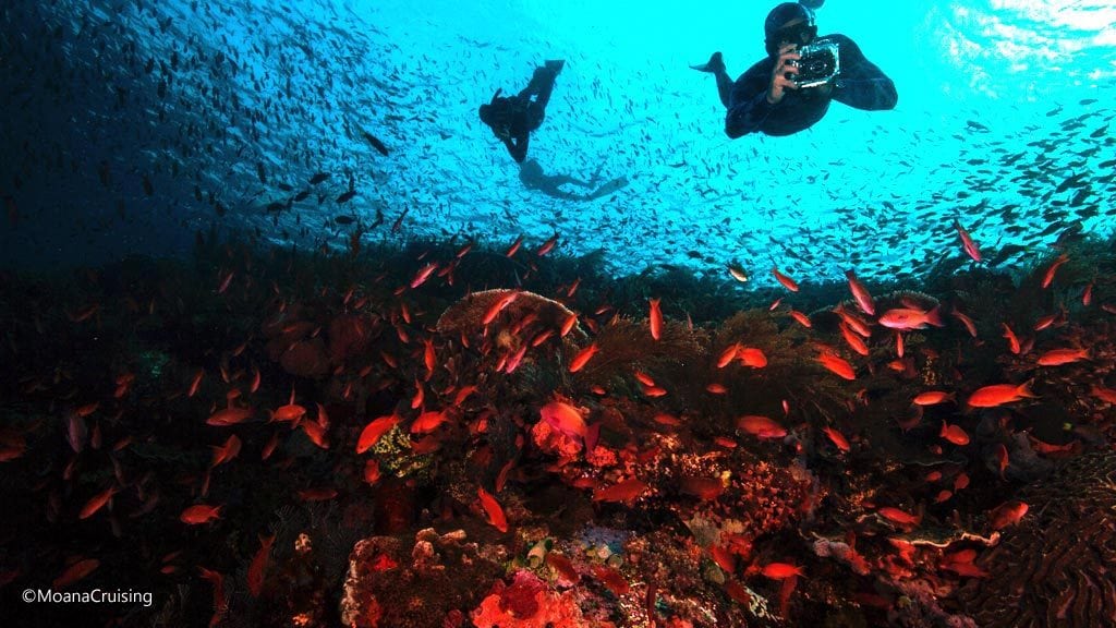 Freediving photographer above reef at batu bolong diving komodo moana