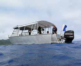 The big fish dive boat dive time at ednas anchor diving cook islands feature