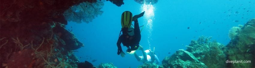 Re-discover your inner-diver in the Solomon Islands aboard the MV Bilikiki