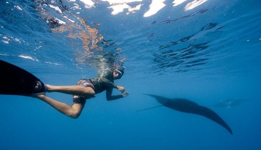 Barefoot manta resort, yasawa islands, fiji