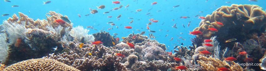 Diving Gili Selang – a pleasant escape from Bali’s busy south
