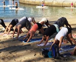 Downward dog to kick off clean up australia day with more yoga less trash diveplanit blog banner