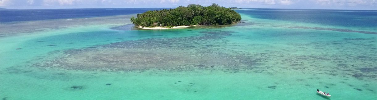Beautiful landscape diving at munda solomon islands with dive munda and side banner