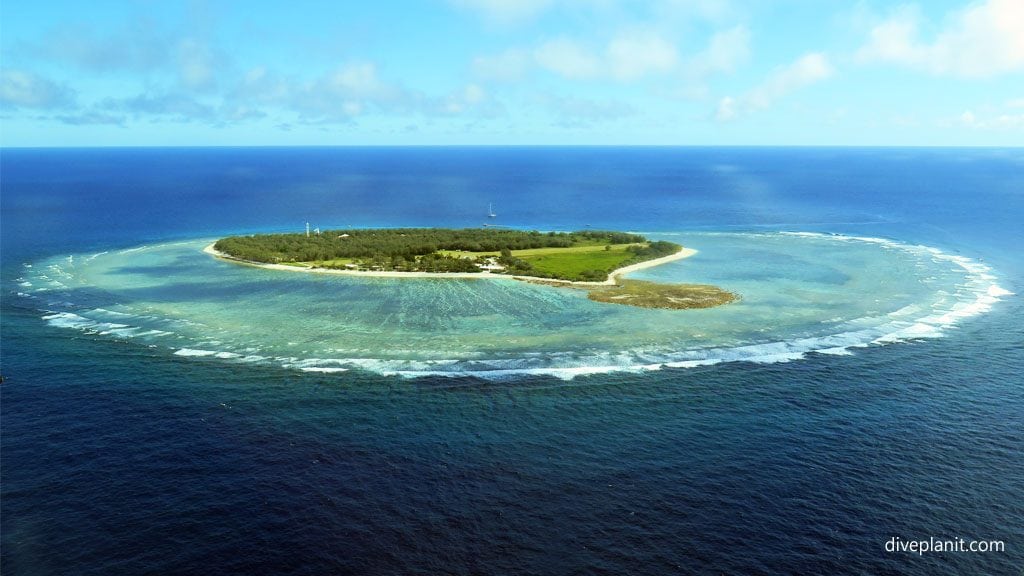 Great aerial shot of lei at last flight diving lady elliot island