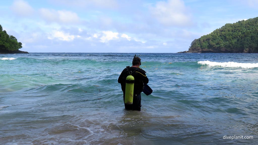 At last we're in the water diving the Marine Sanctuary at Fagatele Bay diving American Samoa by Diveplanit