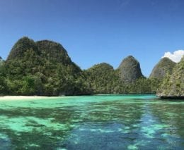 Raja ampat needs marine parks and marine protected areas diveplanit blog banner