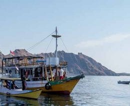 Dive komodo indonesia dive boats credit heather sutton banner