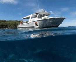 1 extra divers christmas island nemo dive boat feature