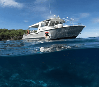 1 extra divers christmas island nemo dive boat feature