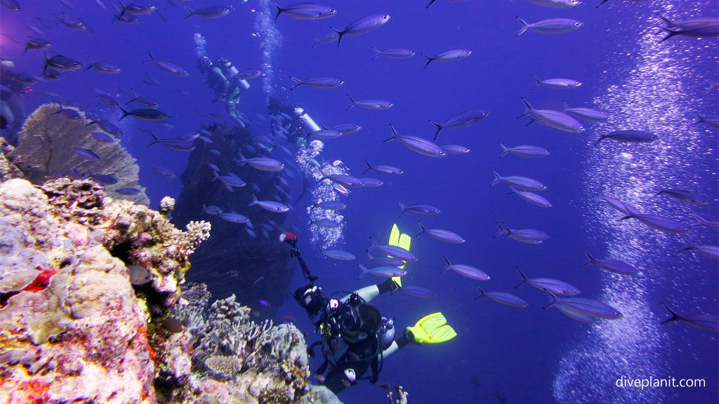 A Point going off aboard MV Taka Solomon Islands Liveaboard Diveplanit Blog 8480