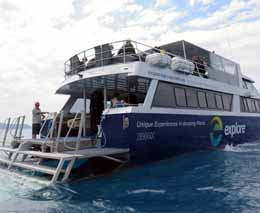 Pure dive dive boat diving luncheon bay hook island at whitsundays queensland australia diveplanit feature