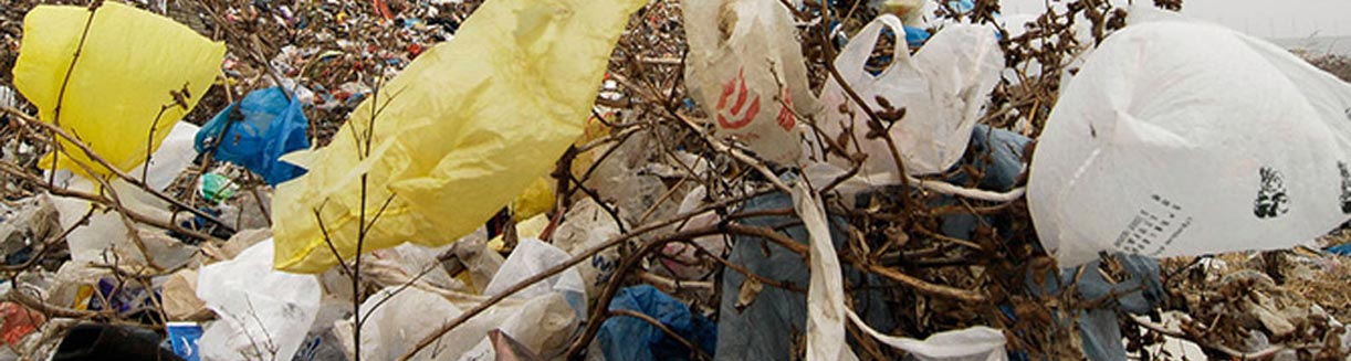 Landfills are filled with plastic bags one impact of not having a plastic bag ban diveplanit blog banner