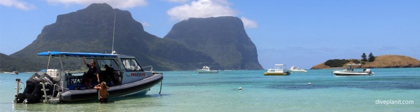 Underwater Adventure in the lap of luxury: the inaugural Lord Howe Island Dive Week