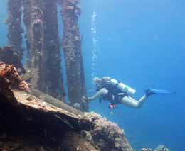 Mary frances at the columns diving white beach in the russell islands aboard mv taka solomon islands diveplanit feature