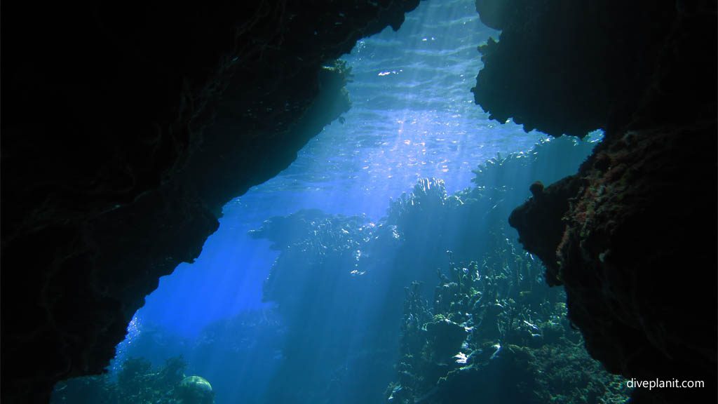 Entrance diving Mirror Pond at Russell Islands Solomon Islands by Diveplanit