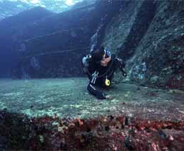 Diver on ruins at yonaguni diving yonaguni okinawa japan diveplanit feature