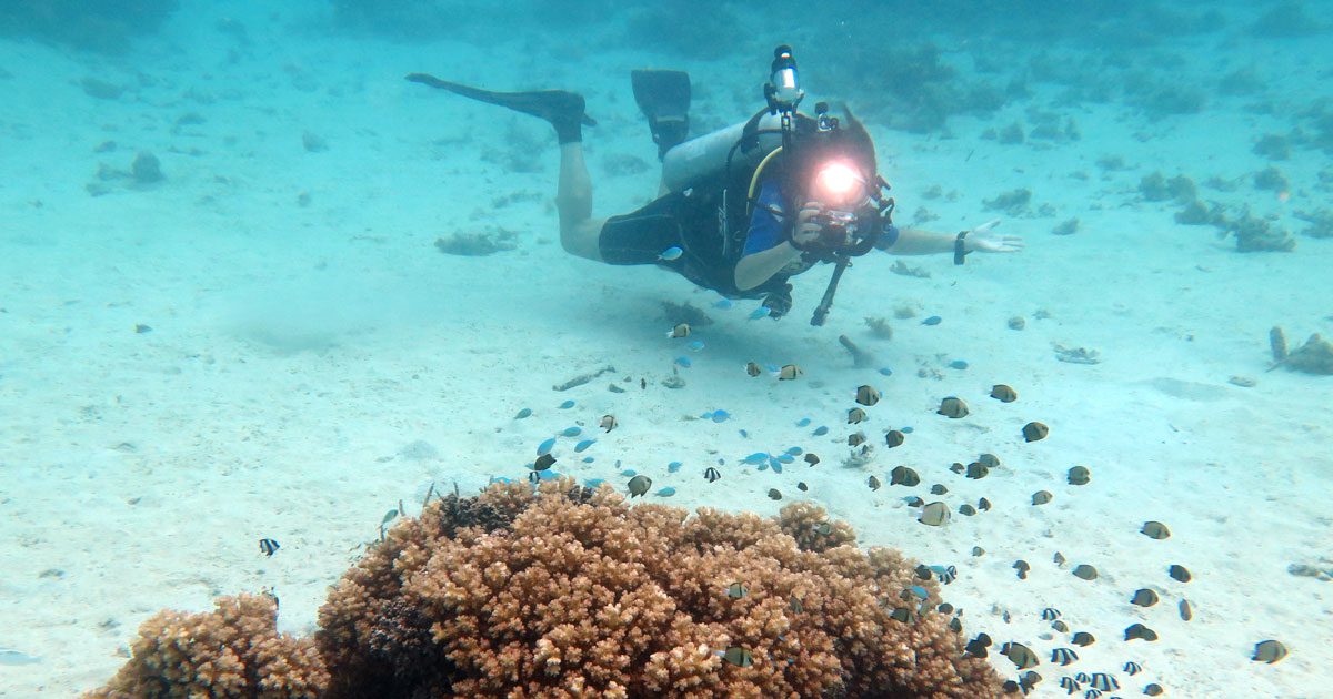 Great buoyancy predive buoyancy check diveplanit blog opengraph