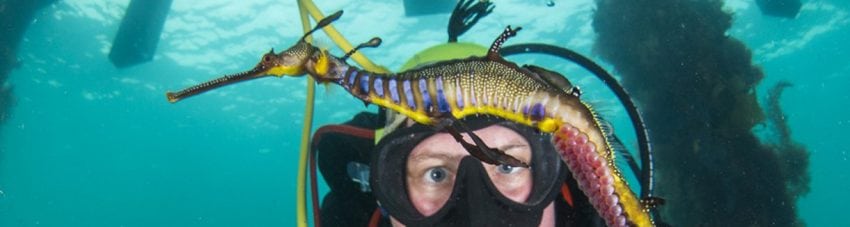 Heather Sutton – What’s one of our Firies doing underwater?