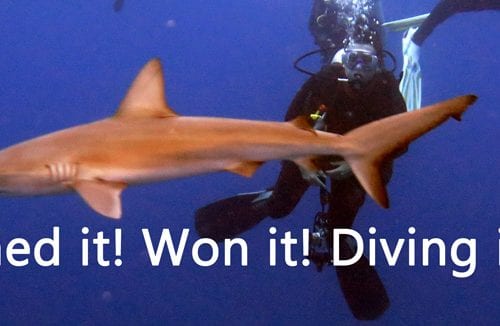 Lord howe island dive week competition diveweek competition name it win it dive it diveplanit banner