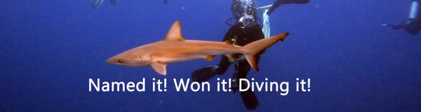 We have a winner – Dive Week Holiday for Two on Lord Howe Island
